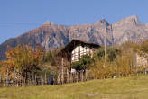 20071104_140737 Vigne.jpg